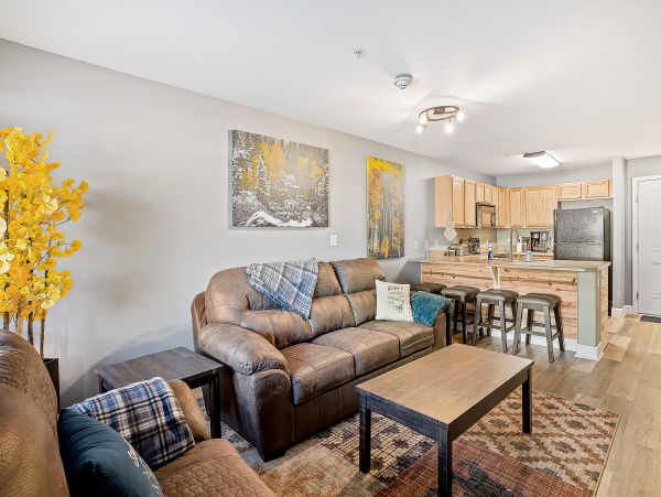 Steamboat Springs Home 1020202
