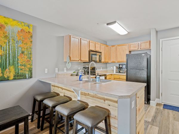 Steamboat Springs Home 1020202