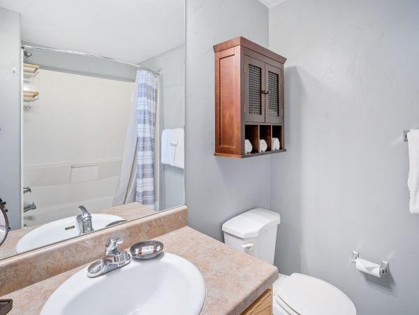Steamboat Springs Home 1020202