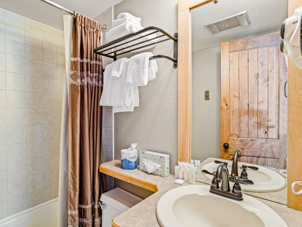 Steamboat Springs Home 1020205
