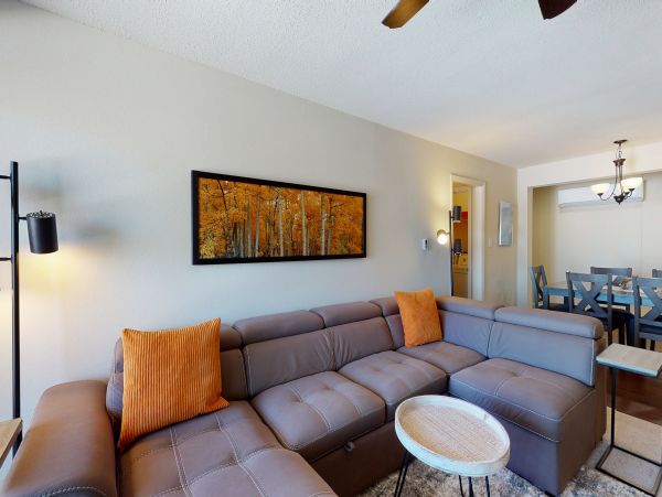 Steamboat Springs Home 1020211