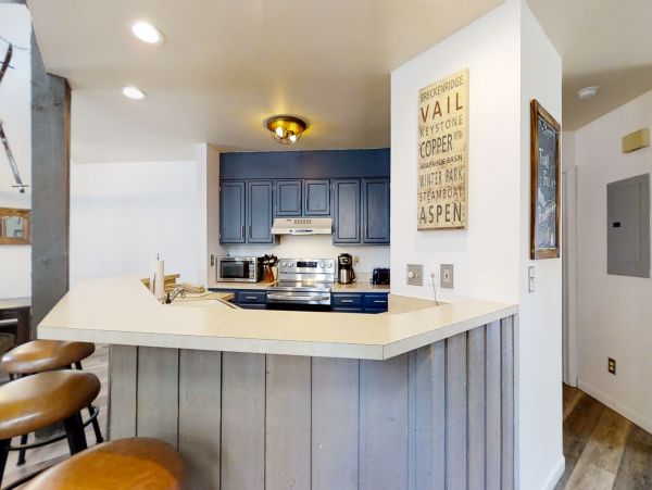Steamboat Springs Home 1020214