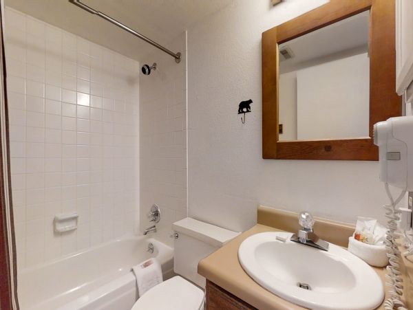 Steamboat Springs Home 1020214