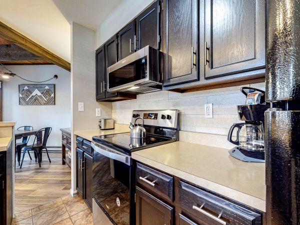 Steamboat Springs Home 1020215