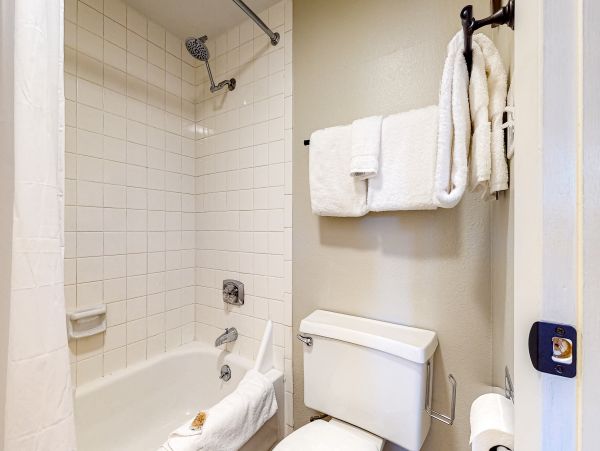 Steamboat Springs Home 1020215