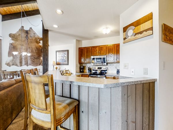 Steamboat Springs Home 1020218