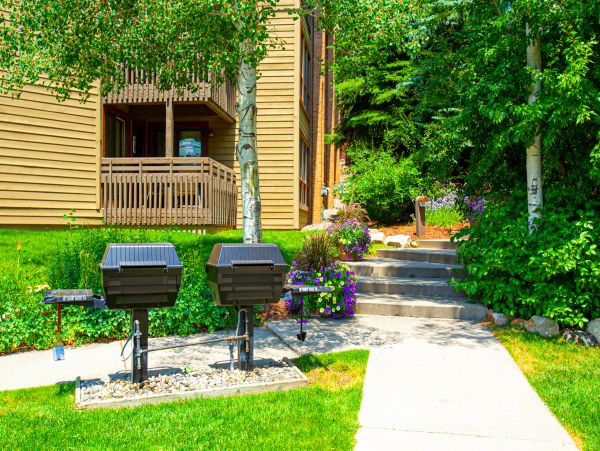 Steamboat Springs Home 1020218
