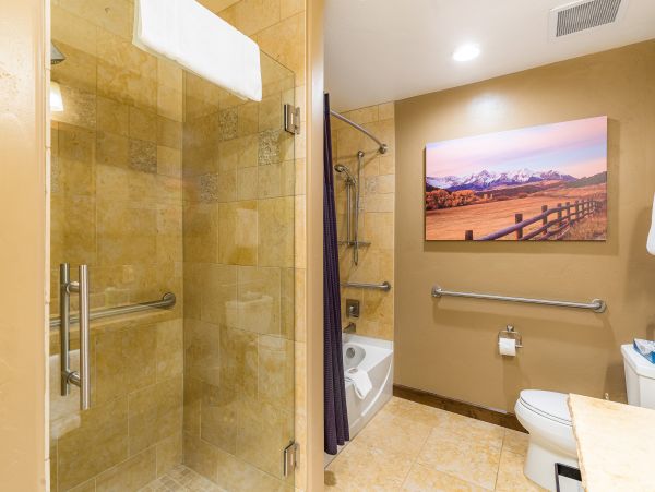 Steamboat Springs Home 1020220