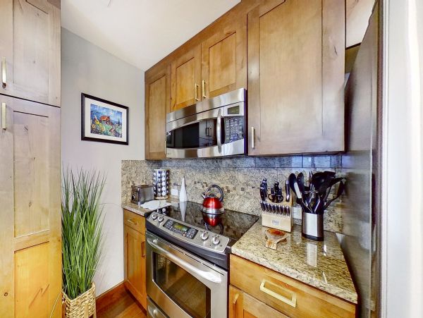 Steamboat Springs Home 1020221