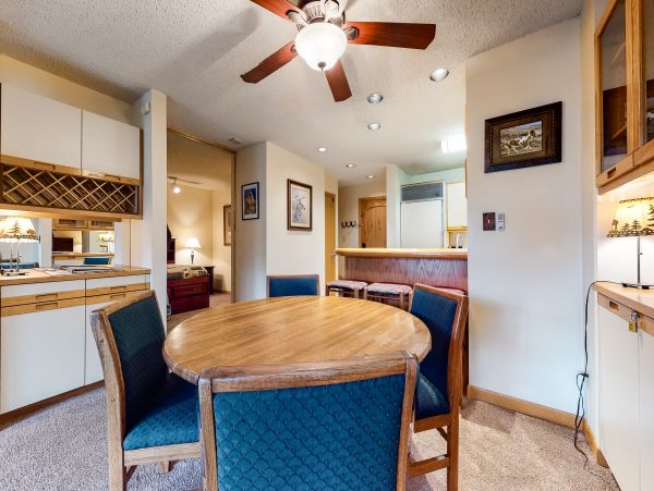Steamboat Springs Home 1020222