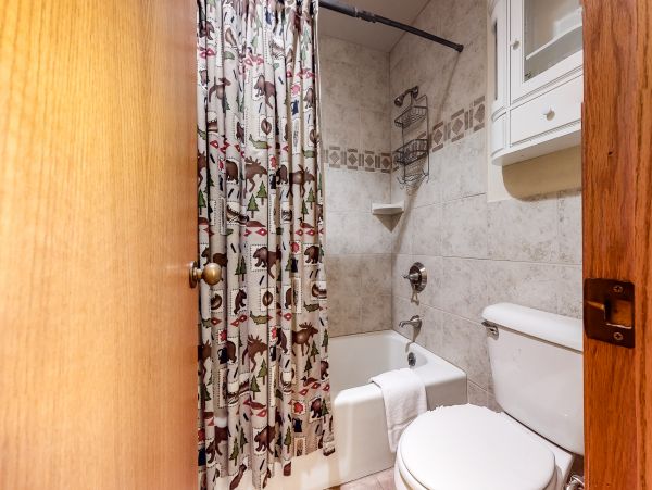 Steamboat Springs Home 1020222