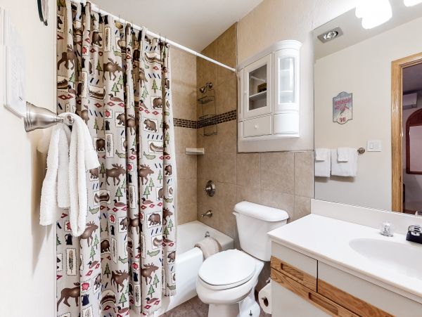 Steamboat Springs Home 1020222