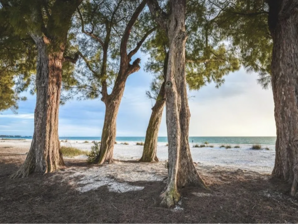 Pretty Much A Beach Cottage Anna Maria Island Gulf Beach Views
