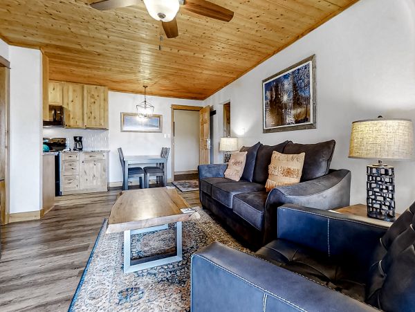 Steamboat Springs Home 1020225