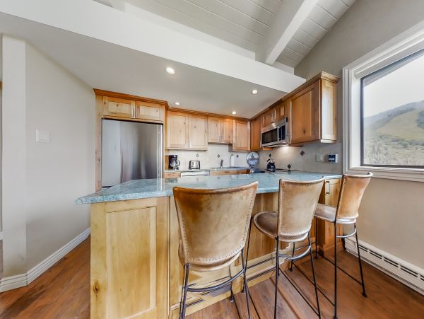 Steamboat Springs Home 1020226