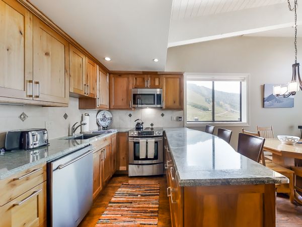 Steamboat Springs Home 1020226