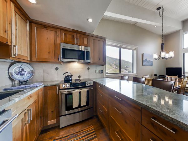 Steamboat Springs Home 1020226