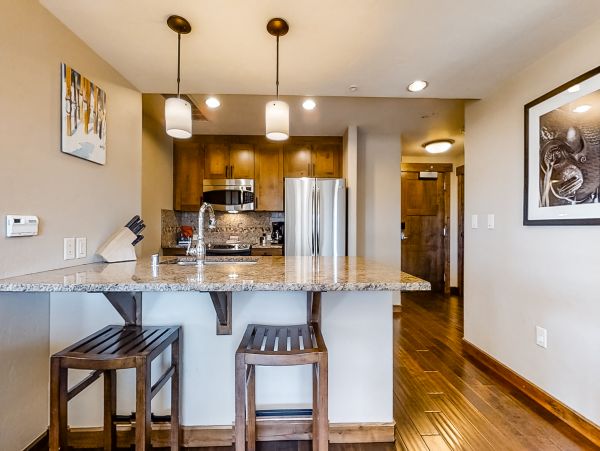 Steamboat Springs Home 1020240