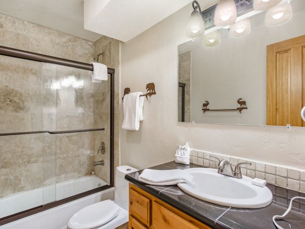 Steamboat Springs Home 1020243