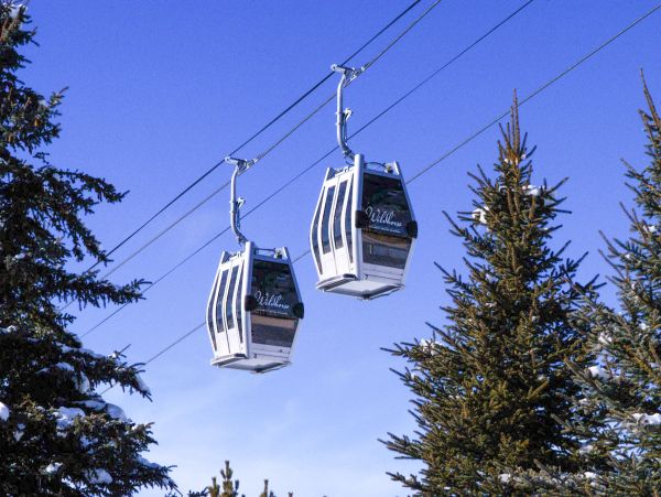 Steamboat Springs Home 1020245