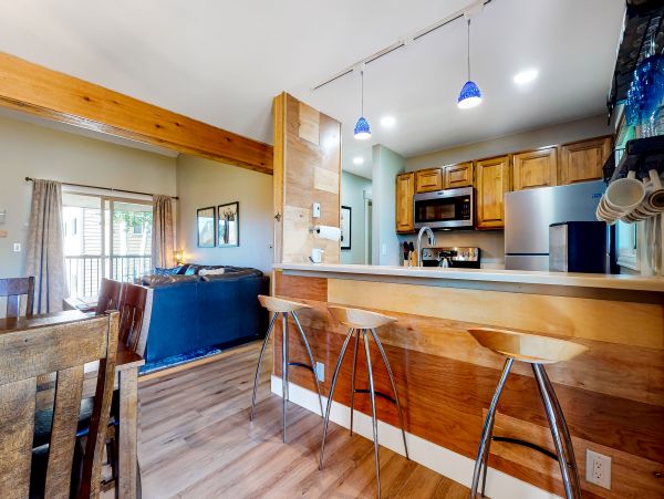 Steamboat Springs Home 1020258