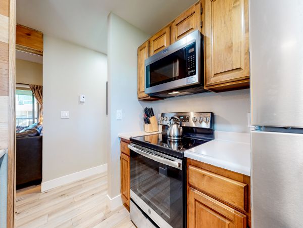 Steamboat Springs Home 1020258