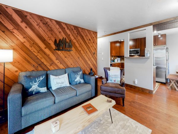 Steamboat Springs Home 1020260