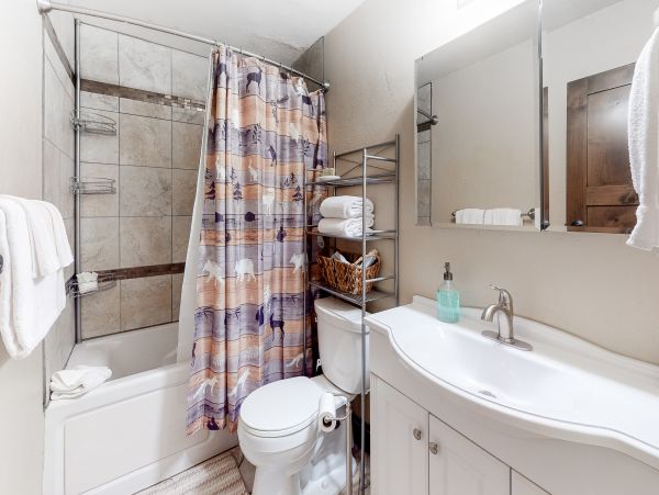 Steamboat Springs Home 1020260