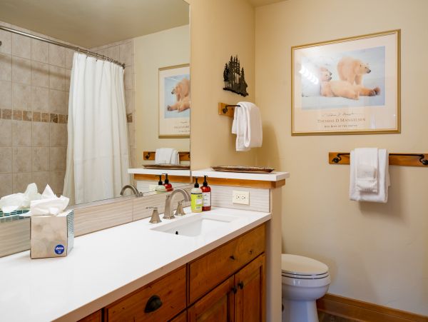 Steamboat Springs Home 1020263