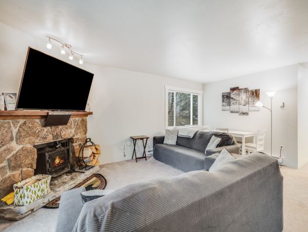 Steamboat Springs Home 1020264