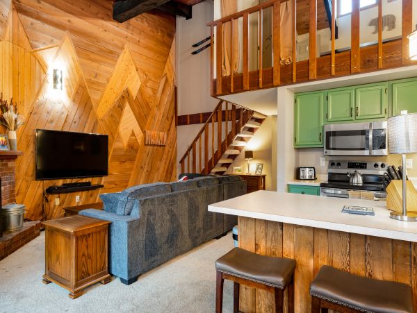 Steamboat Springs Home 1020265