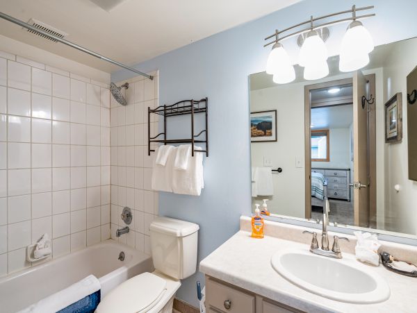 Steamboat Springs Home 1020265