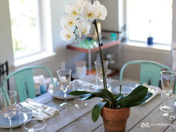 Hamptons Home 1020268
