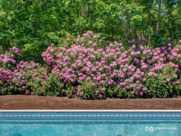 Hamptons Home 1020294