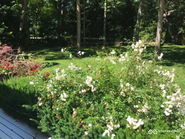 Hamptons Home 1020327