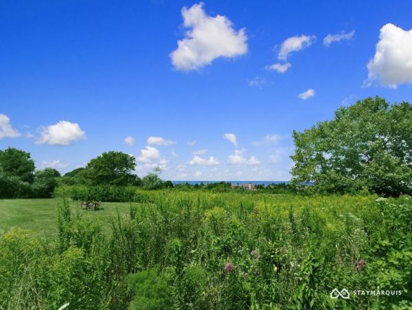 Hamptons Home 1020357