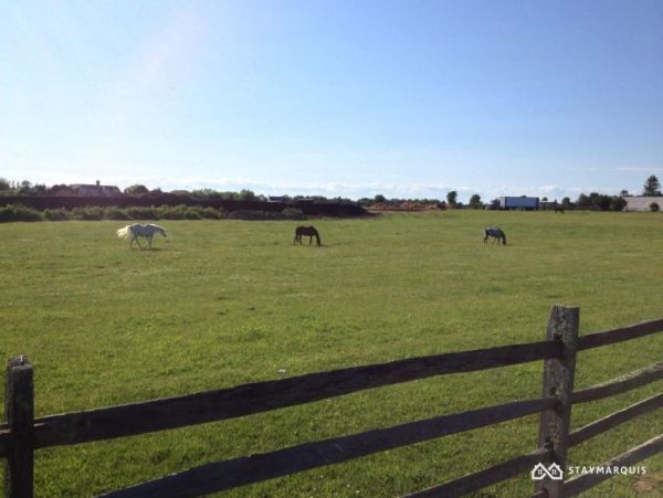 Hamptons Home 1020357