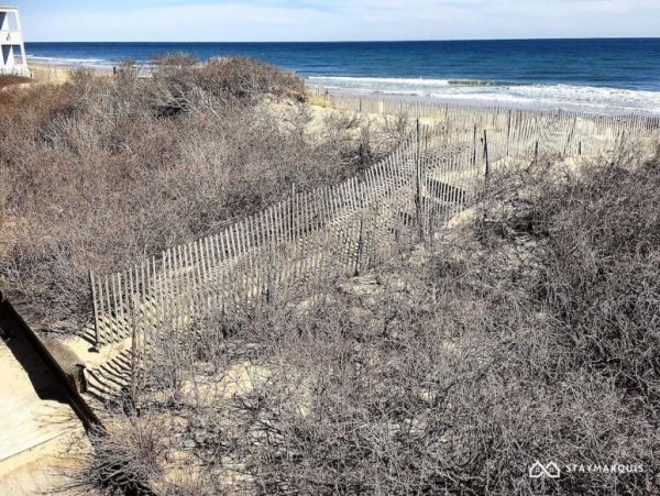 Hamptons Home 1020402