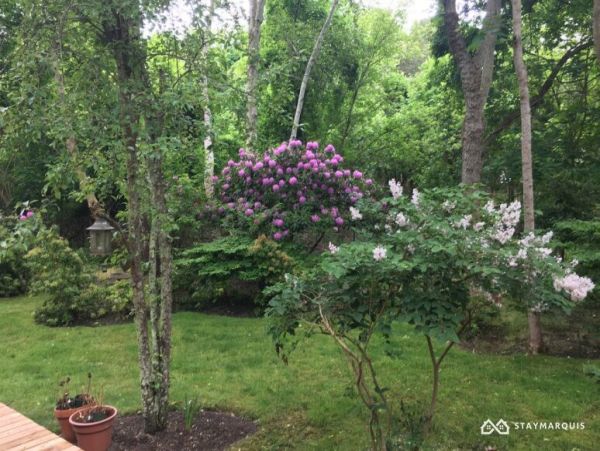 Hamptons Home 1020434