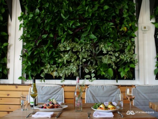 Hamptons Home 1020478