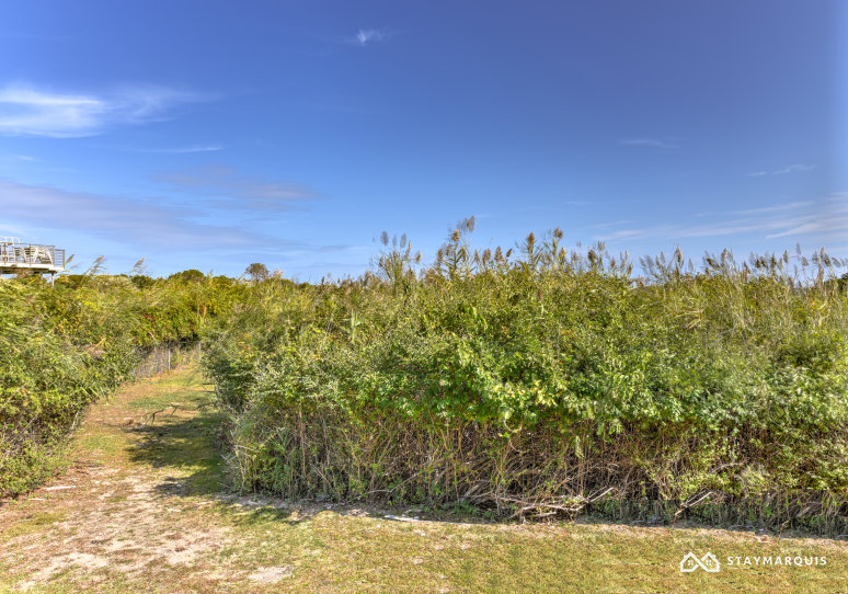 Hamptons Home 1020499