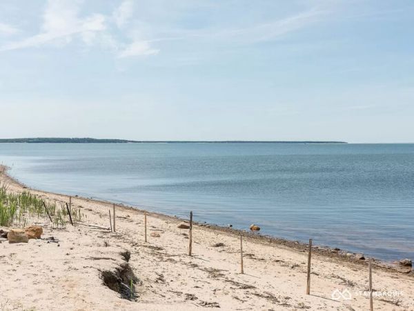 Hamptons Home 1020556
