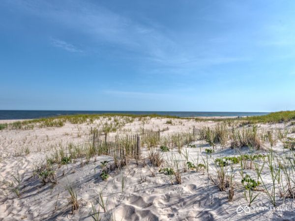 Hamptons Home 1020559