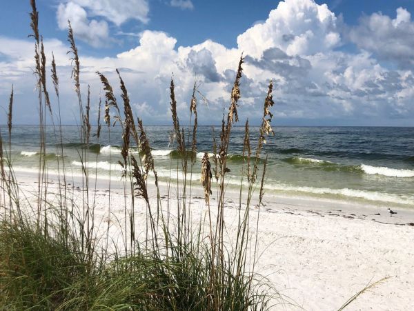 Anna Maria Island Stroll To Sandy Beach Stunning Pool NEW ARRIVAL JUST IN