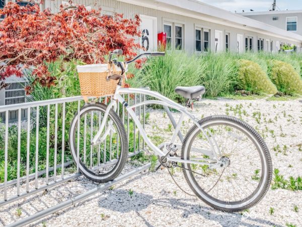 Hamptons Home 1020636