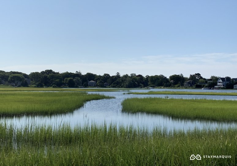 Hamptons Home 1020668