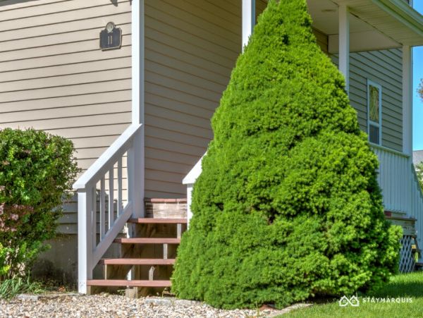 Hamptons Home 1020704