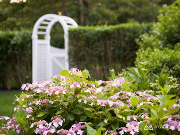 Hamptons Home 1020715