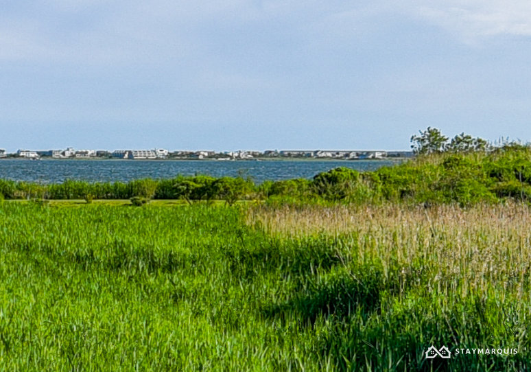 Hamptons Home 1020724