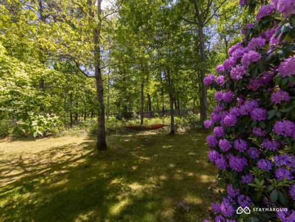 Hamptons Home 1020728